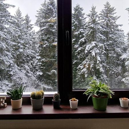 Pine Tree Apartment / Borovets Gardens Екстериор снимка