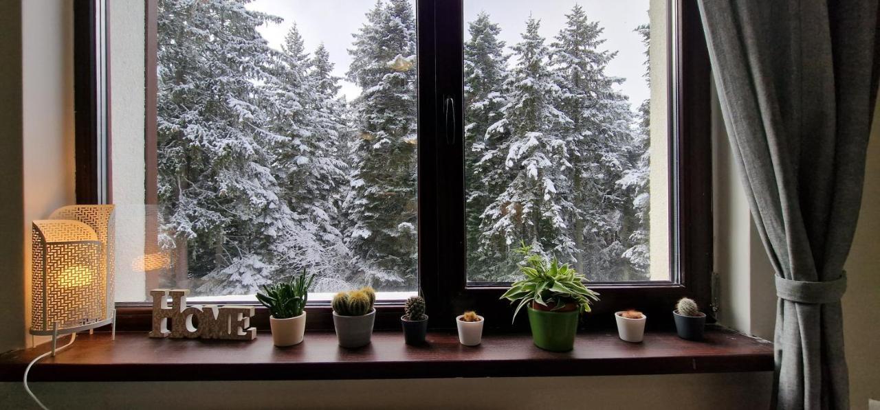 Pine Tree Apartment / Borovets Gardens Екстериор снимка
