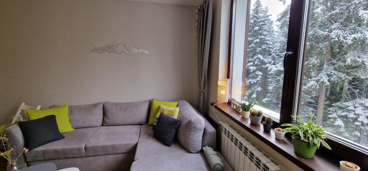 Pine Tree Apartment / Borovets Gardens Екстериор снимка